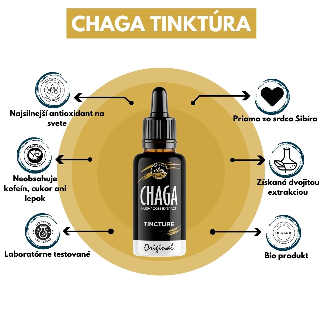 CHAGA TINKTÚRA